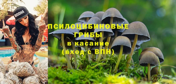 СК Абинск