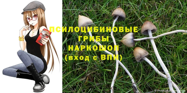не бодяженный Абдулино