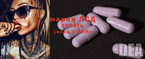 СК Абинск