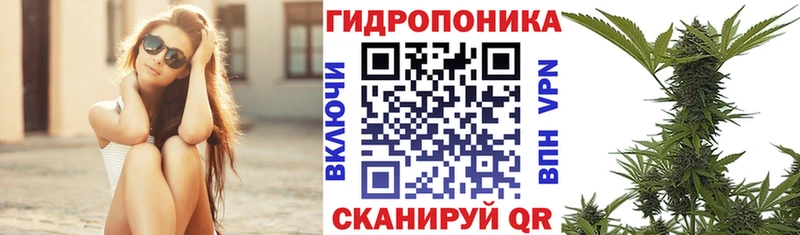 Конопля ГИДРОПОН  Хилок 